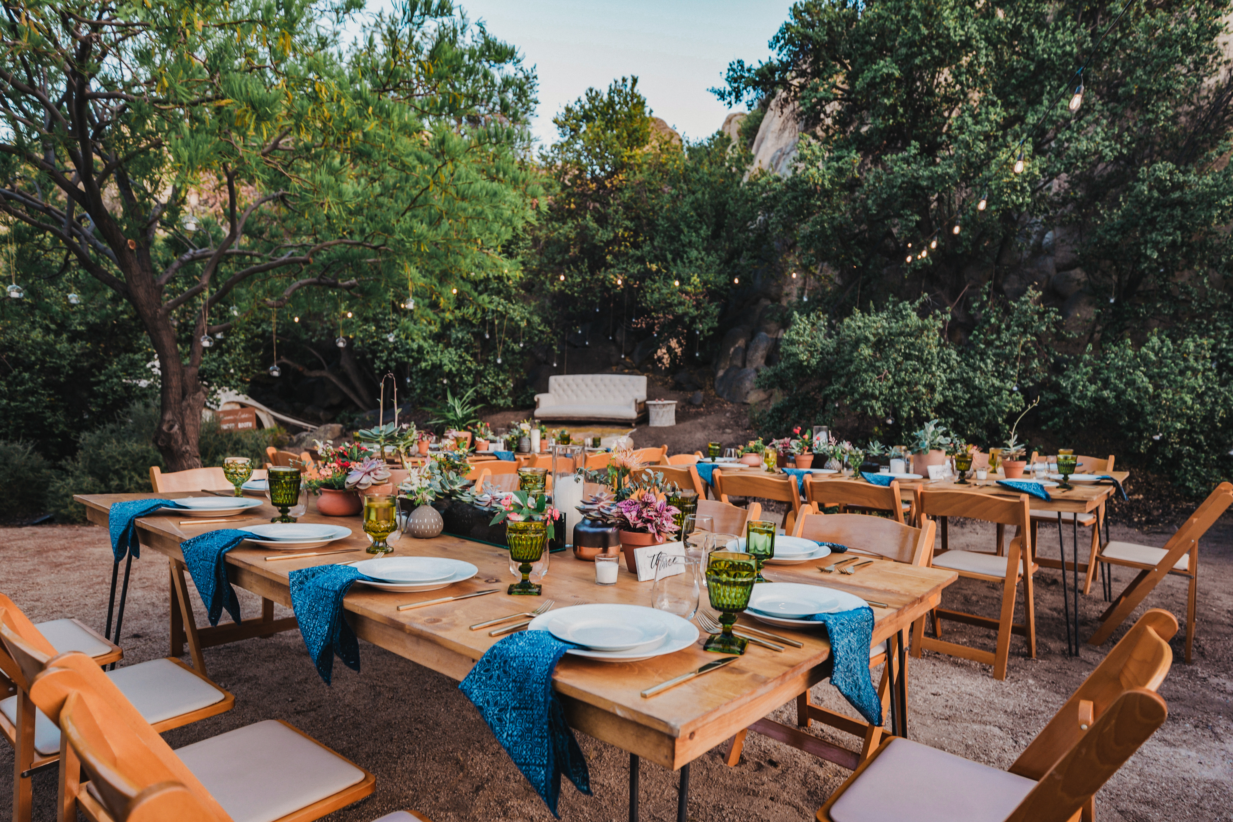 Backyard dinner setup